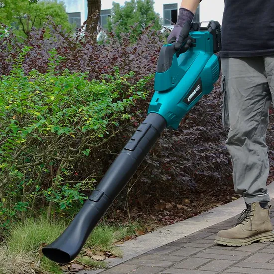 Liangye 40V Battery Operated Garden Tools Zbl770-8vl Cordless Brushless Leaf Blower